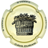 Caves