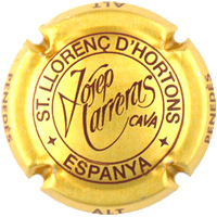 Placa