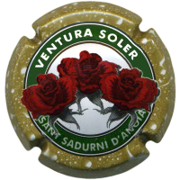 Placa